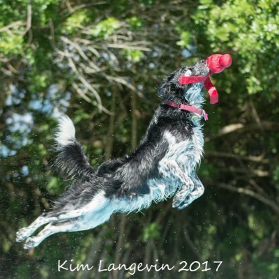 Profile Picture of John Hoover (@JohnHoo75111499) on Twitter