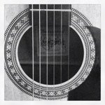 Profile Picture of Veronica Englert (@verofino) on Instagram