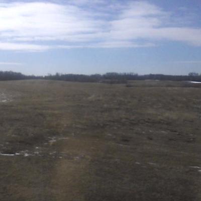 Profile Picture of Jeffrey Ross-Bear (@jeffreybearross) on Twitter