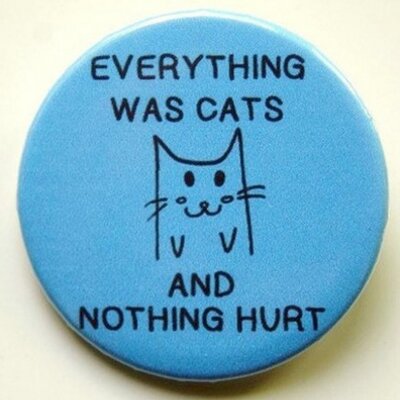 Profile Picture of Amanda Ferber (@FerbCat) on Twitter