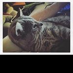 Profile Picture of ray_howell5 (@ray_howell5) on Instagram