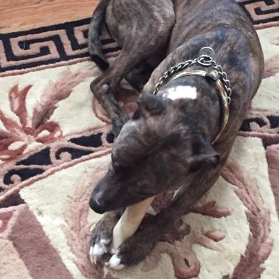 Profile Picture of John Elmendorf (@ElmendorfJohn) on Twitter