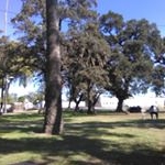 Profile Picture of Derrick Collier (@derrick.collier.902) on Instagram