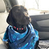 Profile Picture of Joshua Peterman (@joshua-peterman-8) on Quora