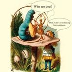 Profile Picture of Stacie Rohr (@Stacie-Rohr) on Facebook