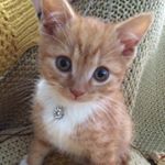 Profile Picture of Arthur (@arthur_withers) on Instagram