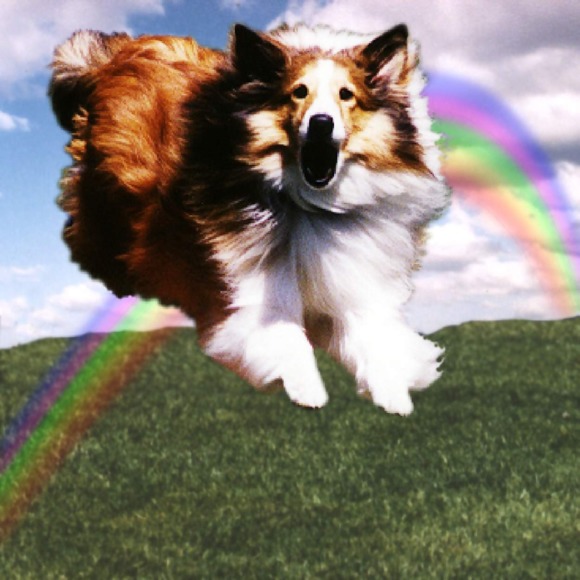 Profile Picture of Louise Watson (@hello_lovelies) on Poshmark