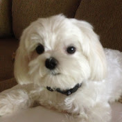 Profile Picture of Bobby Freeman (@astros0667) on Youtube