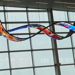 Profile Picture of Avinesh Ritesh LAL (@AvineshRitesh) on Twitter