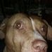 Profile Picture of Becky Gaddis (@becky.gaddis.56) on Facebook