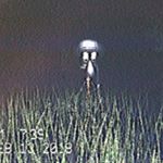 Profile Picture of Slumlord Jizz (@jizzward) on Instagram