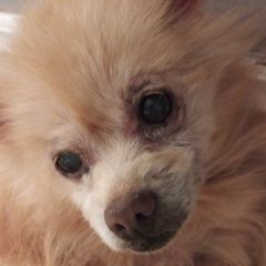 Profile Picture of Joseph Mcnutt (@joseph.mcnutt7) on Tiktok
