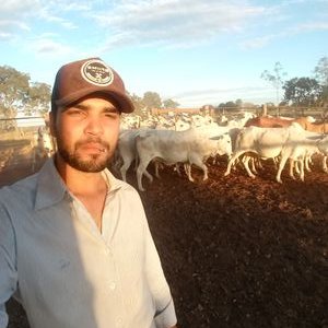 Profile Picture of Hur.Alexandre (@HurAlexandre) on Twitter