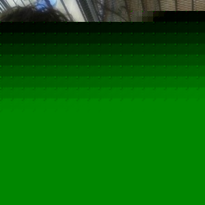 Profile Picture of Brendaliz Ramos (@brenda_all_day) on Myspace