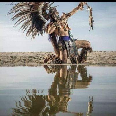 Profile Picture of Maxpeel Solano (@MaxpeelSolano) on Twitter