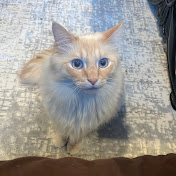 Profile Picture of Imad Hanna (@imadhanna-m6p) on Youtube