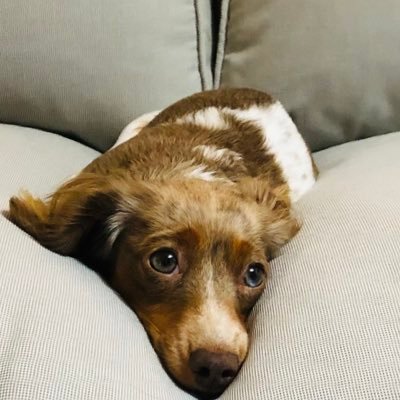 Profile Picture of Agnes Eckerlin (@AgnesEckerlin) on Twitter