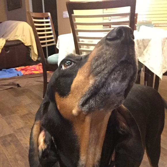 Profile Picture of Jessica Kyriakos (@jkyriakos) on Poshmark