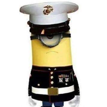 Profile Picture of 🇺🇸🇺🇸🇺🇸 Gerry McCarter 🇺🇸🇺🇸🇺🇸 (@TROLLfromUSMC) on Twitter