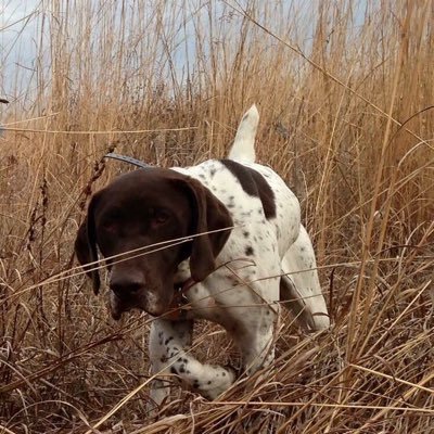 Profile Picture of Troy Hines (@troy_hines) on Twitter