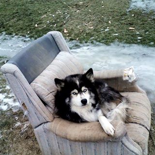 Profile Picture of Malcolm Walker (@donald.walker.18294) on Facebook