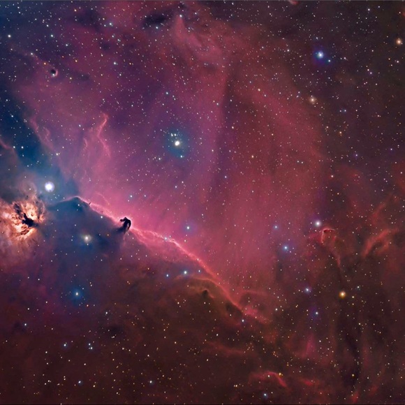 Profile Picture of Carolyn Bonaccorsi (@beanamaniac) on Poshmark