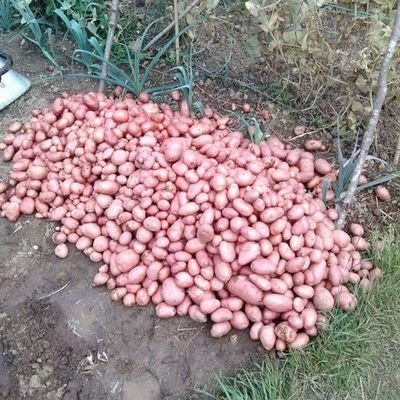 Profile Picture of Mark Saxby (@MarkSaxby6) on Twitter