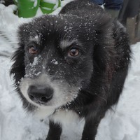 Profile Picture of Lucy Haines (@lucy-haines-9) on Quora