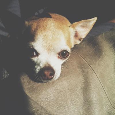 Profile Picture of Carly (@kuhn_carly) on Twitter