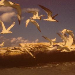 Felipe Abundis - Twitter Profile Picture of Felipe Abundis (@FelipeAbundis) on Twitter