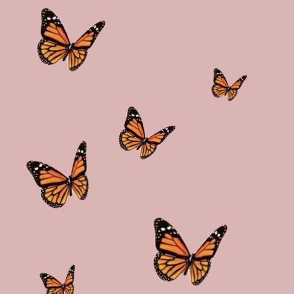 Profile Picture of Jennifer Fucci (@jennfucci) on Poshmark