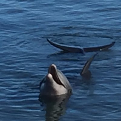 Profile Picture of Brian Muirhead (@Brianmuirhead11) on Twitter