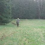 Profile Picture of Max Tischler (@max.tischker) on Instagram