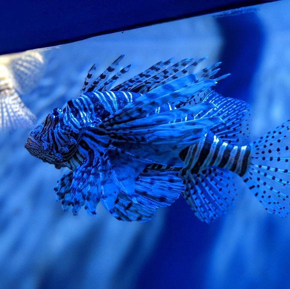 Profile Picture of Brent Schermann (@brentschermann) on Poshmark