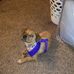 Profile Picture of Terry Bledsoe (@terry.bledsoe.549) on Facebook