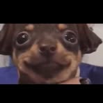 Profile Picture of Damian Iwaszkiewicz (@Damian-Iwaszkiewicz) on Facebook