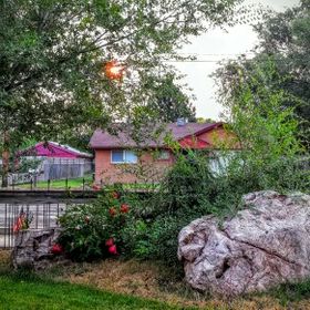 Profile Picture of Tori Grant-Nandu (@torinandu) on Pinterest