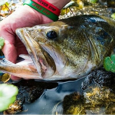 Profile Picture of Hayden P (@HaydenPearce69) on Twitter