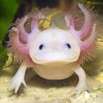 JaredNielson - Instagram Profile Picture of JaredNielson (@jarednielson01) on Instagram