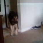 Profile Picture of Bob Wayne (@johnnystellargrier) on Instagram