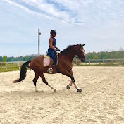 Profile Picture of Amanda Hoss (@HossEquineVT) on Youtube