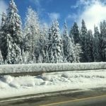 Profile Picture of Kevin Adderley (@kevin_khale73) on Instagram