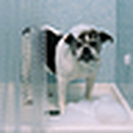Profile Picture of studiophelps (@studiophelps) on Flickr