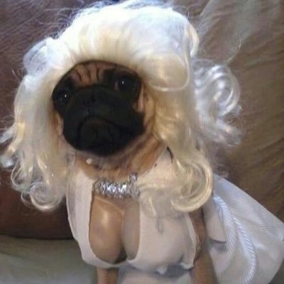 Profile Picture of Bogal (@_Monizza_) on Twitter