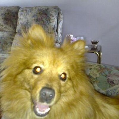 Profile Picture of John Kamer (@jak0888) on Twitter