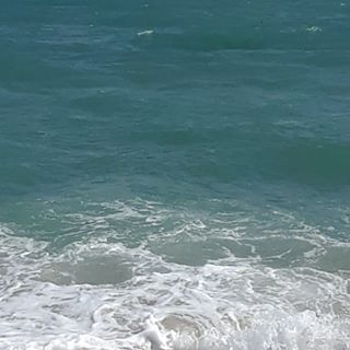 Profile Picture of Derek Zauner (@robert.cast.58) on Facebook