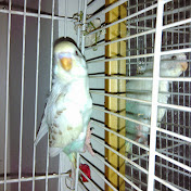 Profile Picture of Rebecca Patel (@rebeccapatel5899) on Youtube