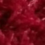 Profile Picture of Michael Schrockberg (@schrockberg1801) on Instagram