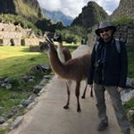 Profile Picture of Howard Hu (@drhowardhu) on Instagram