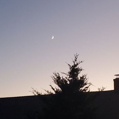 Profile Picture of Ava Ramirez (@AvaRami81344941) on Twitter